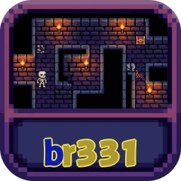 br331
